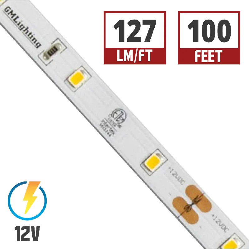 Industrial Lighting for Automotive Manufacturing PlantsLTR-E Econo LED Strip Light, 100ft Reel, 2700K, 127 Lumens per Ft, 12V Industrial Lighting for Automotive Manufacturing PlantsLTR-E Econo LED Strip Light, 100ft Reel, 2700K, 127 Lumens per Ft, 12V