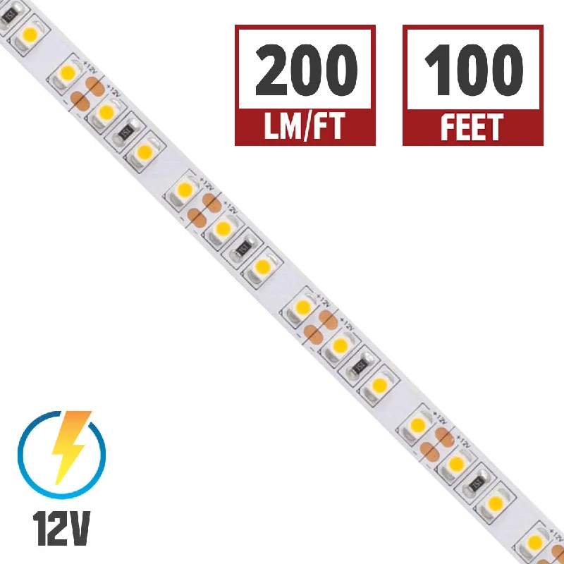 Industrial Lighting for Woodworking FactoriesBLAZE LED Strip Light, 100ft Reel, 2700K, 212 Lumens per Ft, 12V Industrial Lighting for Woodworking FactoriesBLAZE LED Strip Light, 100ft Reel, 2700K, 212 Lumens per Ft, 12V