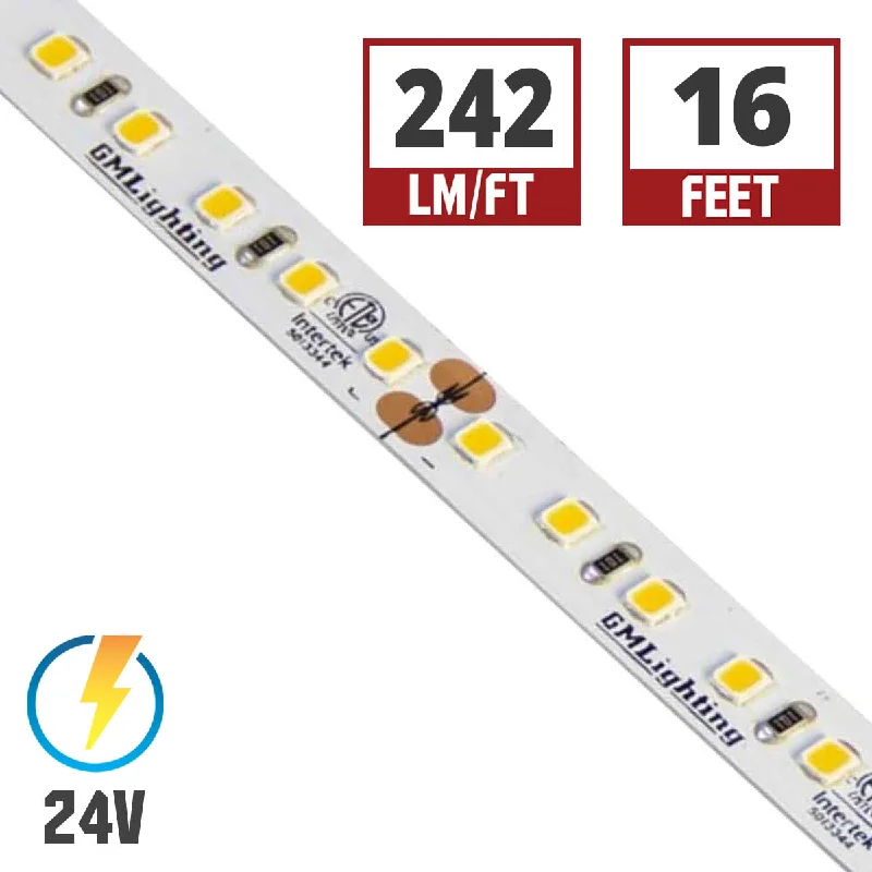 Industrial Area Lighting for Large Open SpacesLTR-P Pro LED Tape Light, 16ft Reel, 3000K, 242 Lumens per Ft, 3 watts per Ft, 24V Industrial Area Lighting for Large Open SpacesLTR-P Pro LED Tape Light, 16ft Reel, 3000K, 242 Lumens per Ft, 3 watts per Ft, 24V