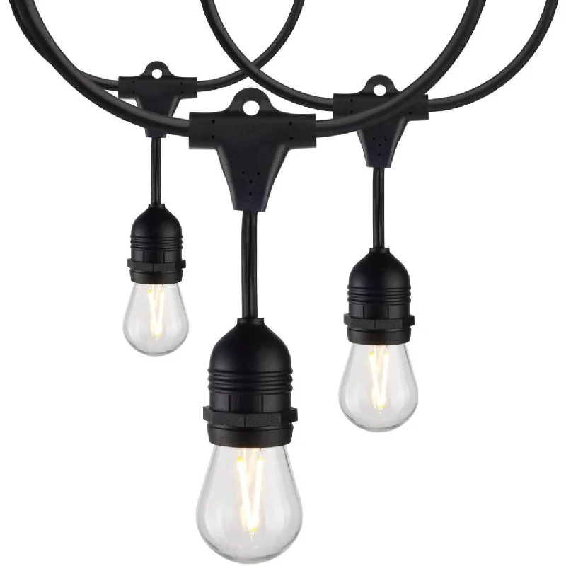 Color - Tunable Industrial Lighting for Special ApplicationsOutdoor LED String Light, 24 Feet, 12 S14 bulbs, 2200K Warm white