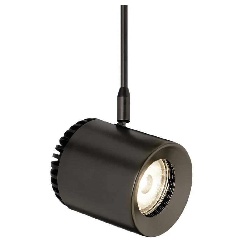 Track lighting for illuminating walkwaysBurk Head MonoPoint 3"