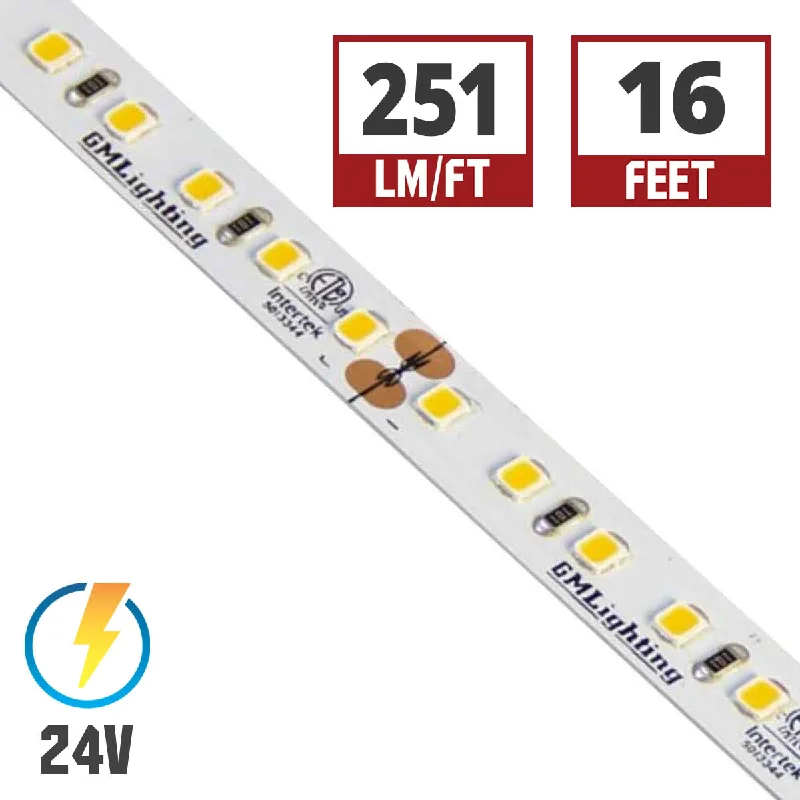 Industrial Lighting for Chemical PlantsLTR-P Pro LED Tape Light, 16ft Reel, 4000K, 251 Lumens per Ft, 3 watts per Ft, 24V Industrial Lighting for Chemical PlantsLTR-P Pro LED Tape Light, 16ft Reel, 4000K, 251 Lumens per Ft, 3 watts per Ft, 24V