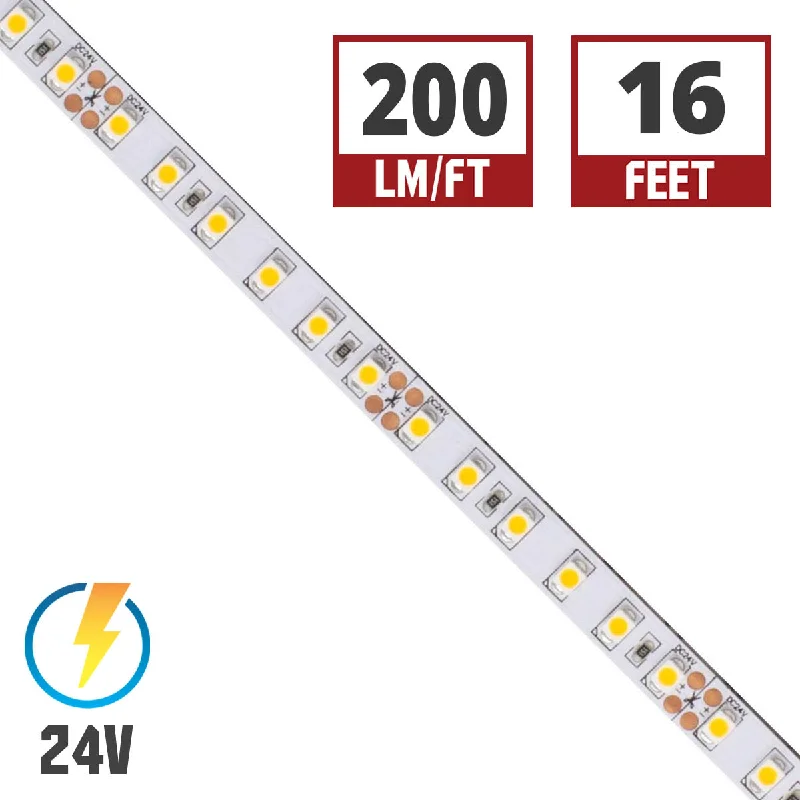 Industrial Lighting for Chemical PlantsBLAZE LED Strip Light, 16ft Reel, 5000K, 261 Lumens per Ft, 24V Industrial Lighting for Chemical PlantsBLAZE LED Strip Light, 16ft Reel, 5000K, 261 Lumens per Ft, 24V