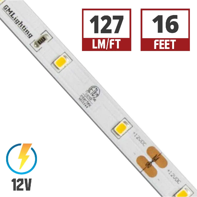 Industrial Wall - Mounted Lighting for Workshop WallsLTR-E Econo LED Strip Light, 16ft Reel, 2700K, 127 Lumens per Ft, 12V Industrial Wall - Mounted Lighting for Workshop WallsLTR-E Econo LED Strip Light, 16ft Reel, 2700K, 127 Lumens per Ft, 12V