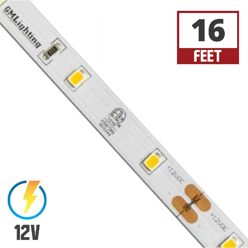 Industrial Ceiling - Mounted Lighting for Assembly PlantsLTR-E Econo LED Strip Light, 16ft Reel, Blue, 12V Industrial Ceiling - Mounted Lighting for Assembly PlantsLTR-E Econo LED Strip Light, 16ft Reel, Blue, 12V